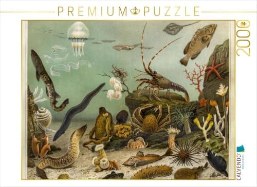 Puzzle · Seewasser-Aquarium, Künstler: Adolf Giltsch (1852-1911) JENA | Kunstbeilage in Meyer's Großes Konversationslexikon, 6 · Auflage 1905… · 2000 Teile · Lege-Größe 90 × 67 cm · CALVENDO Puzzle