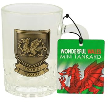 Elgate Wales Dragon Metal Plaque Mini Glass Tankard | Compact Collectible Tankard with Embossed Red Dragon | Sturdy Build & Detailed Welsh Emblem | Gift for Fans of Cymru & Celtic Culture