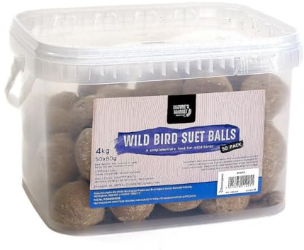 Kingfisher BF50FB Tub of Fat Balls (Pack of 50), transparent