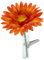 SANDINI Autovase mit Seidenblume/Kultblume Passend für jedes Auto (Gerbera Orange)