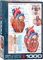 empireposter Das menschliche Herz - Anatomie Puzzle - 1000 Teile Puzzle im Format 68x48 cm