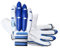 CW Sherwood Cricket-Handschuhe RH Schlaghandschuhe LH Schlaghandschuhe Cricket-Handschuhe Schlaghandschuhe Handschutz Jungen Jugendliche kleine Jungen Handschuhe (blau rechts, kleine Jungen 5–7 Jahre)
