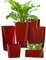 Pflanzwerk® ÖKOSYSTEM Pflanzkübel Cube - Blumentöpfe Übertöpfe mit BEWÄSSERUNGSSYSTEM - 38x40x40cm Shiny ROT *Indoor & Outdoor Blumenkübel* *UV-Schutz* *Premium Markenqualität*