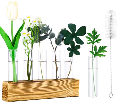 Zuimei Planter Propagation Stations, Tabletop Hanging Glass Planter Propagation Station Wall Plant Holder with 6 Test Tube Vase and 1 Cleaning Brush for Hydroponic Plants Cuttings Office Home Décor
