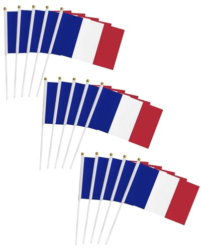 AORHOFJ Petit Drapeau Francais - 15Pcs Mini Drapeaux Français avec Poteau Solide Blanc de pour 2024 Jeux Euro Football Championnat Coupe du Monde Fête Nationale Décor