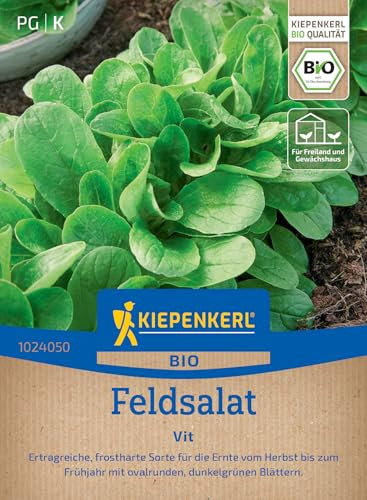 Kiepenkerl Feldsalatsamen Vit 1024050, Gemüsesaat