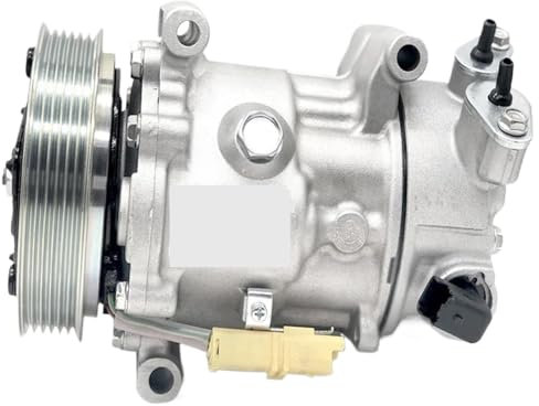 Compressore aria condizionata compatibile con Peugeot 207 208 307 308 Citroen C3 1607424980 1608473380 6453WN 6453WP 6453ZW 648709 96410780
