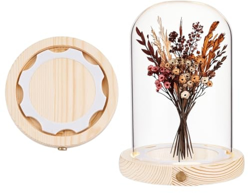 nbeads Glasglocke Mit LED Lichtsockel, Hochtransparente Displaykuppel Glaskuppelabdeckung Für Ewige Blumen Für Tafelaufsätze Pflanzen Steine Proben Dekorationen Kunsthandwerk, 12.55x17cm, Bogen