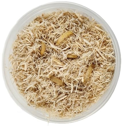 Josh's Frogs Waxworms (50 Count)
