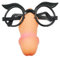 eeddoo® Penisbrille - Spaßartikel (Penisnase Willy Glasses Scherzbrille Scherzartikel Partygag Schwanzgesicht Erotik Sextoy Fun Damen Herren Frauen Männer Paare)