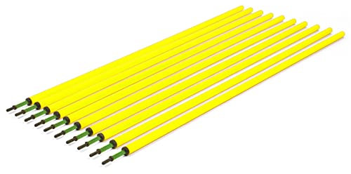 Sport-Thieme Slalomstangen Set | Set aus 10 Slalom Stangen mit oder ohne Federgelenk | 10 cm Lange Metallspitze | L: 160 cm, Ø: 3,2 cm | Gelb | Markenqualität