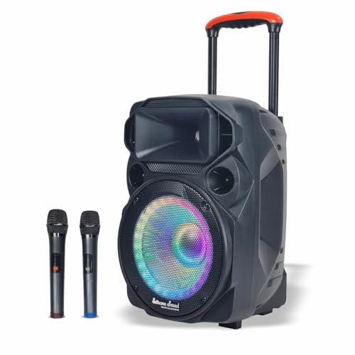 Extreme Sound Cassa audio Portatile Trolley VAN L, 2 Microfoni Wireless, Bluetooth, Batteria Ricaricabile Alta Potenza Autonomia fino a 5 ore - AMPLIFICATA 1500 Watt - Perfetta per Eventi e Karaoke