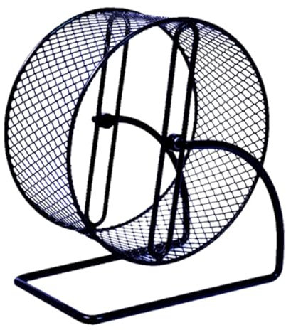 Gralara Eisen Laufrad für Igel, Ratten Und Eichhörnchen mit Rack, S