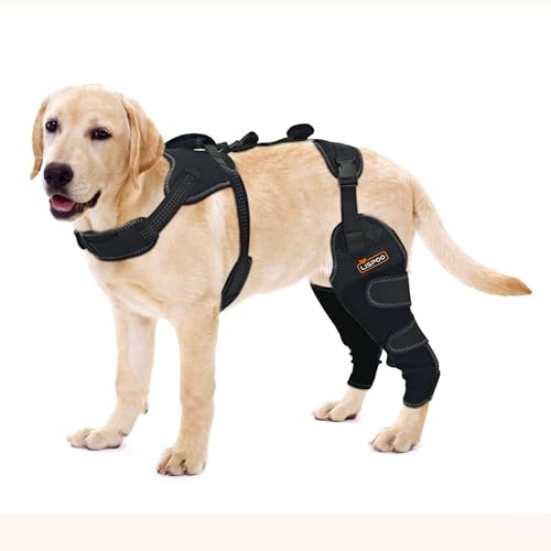 LISPOO Dog Knee Brace for ACL, Arthritis Relief & Patellar Luxation-L Size | Adjustable Rear Leg Support with Joint Protection, Mobility Aid for Mild Pain and Injuries