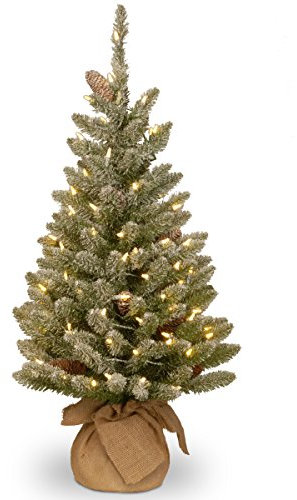 National Tree Company Pre-lit Artificial Mini Christmas Tree | Includes Small White LED Lights and Cloth Bag Base | Snowy Concolor Fir Burlap - 3 ft, Brown/Green