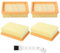 4 Filtros Adecuados para Karcher WD4, WD5, WD6, MV4, MV5, MV6,para Karcher Aspiradora Seco y Humedo,Filtros Planos Plisados para Kärcher 2.863-005.0