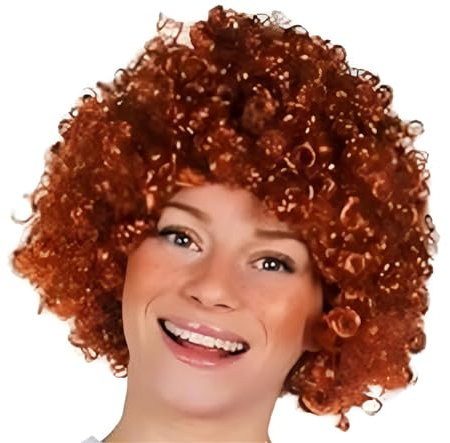 The Dragons Den Orphan Girl Wig TV Film Movie Pantomime World Book Day Fancy Dress Accessory [One Size]