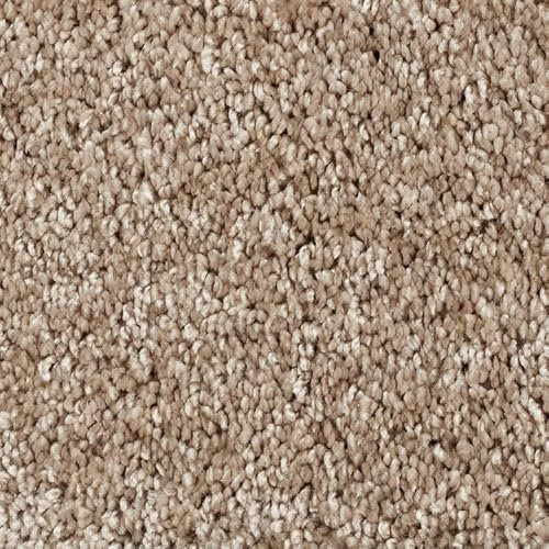 SchönesWohnen Teppichboden Almara Auslegware hell-beige 400x100cm