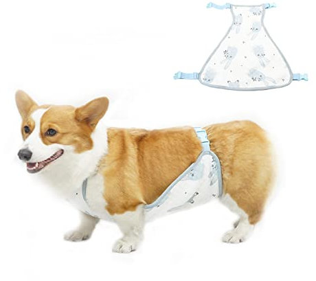 BT Bear Bauchschutz für Hunde, warm, Bauchschutz, Weste, Chirurgie, Genesungsanzug für Welpen, kleine und mittelgroße Hunde (Größe L, blau-weiblich)