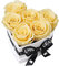 EG EMMIE GRAY Classic Infinity Rosenbox | Herz | Weiß – Traumhafte Infinity Rosen, 1-3 Jahre haltbare Rosen, Flowerbox mit echten, konservierten Rosen, edle Premiumrosen (S, Champagne)