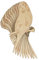 10 x Wellensittich aus Holz, 3 mm, Sperrholz, für Haustiere, Vögel, Tiere (8 x 4 cm, ohne Loch)