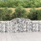 Rantry Panier de gabion à arc 300 x 30 x 80/100 cm fer galvanisé, jardinière d'extérieur, gabion, pierre panier de jardin gabion