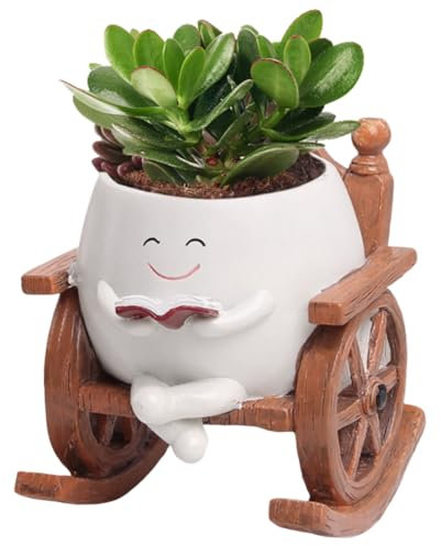 Macetas con cara oscilante, maceta con cara sonriente, macetas para suculentas con orificio de drenaje, sit mecedora, macetas suculentas, macetas para plantas de interior, flores suculentas