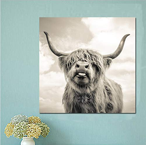 BLAIISRY Leinwandbilder Schwarz Und Weiß Highland Cow Cattle Wand Leinwand Kunst Nordic Malerei Poster Und Print Skandinavischen Wandbild Für Wohnzimmer 40X40 cm At12M Ohne Rahmen …