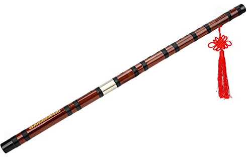 Flûte en Bambou Eujgoov, D-Key Flûte en Bambou Amère Dizi Instrument Chinois Traditionnel avec étui de Transport pour Débutants