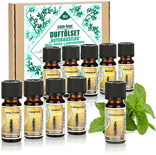 com-four® 10x duftende Öle im Set - Raumduft Naturausflug - Duftöl für Aroma-Diffusoren, Lufterfrischer, Wasser-Verdampfer, Luft-Befeuchter (010 Stück - Naturausflug)