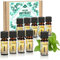 com-four® 10x duftende Öle im Set - Raumduft Naturausflug - Duftöl für Aroma-Diffusoren, Lufterfrischer, Wasser-Verdampfer, Luft-Befeuchter (010 Stück - Naturausflug)