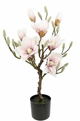 Kunstbaum Magnolie im Topf Magnolienbaum künstlich Kunstpflanze Kunstblume Blume Zimmerpflanze Topfblumen Kleiner Deko Magnolienzweig Blüten Frühjahrsblumen Frühjahrsdeko Frühjahrsblüher Pflanze