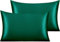 NTBAY Silk Satin Pillowcases - Satin Pillowcase for Hair and Skin, Pillow Cases 2 Pack with Envelope Closure, 50x75 cm, Dark Green