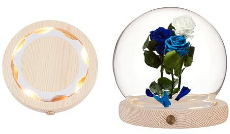 nbeads Glasglocke Mit LED Lichtsockel, Hochtransparente Displaykuppel Glaskuppelabdeckung Für Ewige Blumen Für Tafelaufsätze Pflanzen Steine Proben Dekorationen Kunsthandwerk, 12x11.6cm, Runde