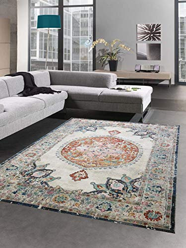 CARPETIA Teppich Orient Teppich Outdoor Wohnzimmerteppich Vintage bunt Größe 200 x 290 cm