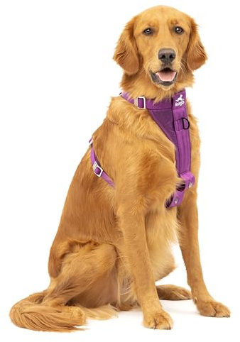 Kurgo TRU-Fit Hundegeschirr, Crash-Test-erprobtes Auto-Sicherheitsgurt, Für Hunde von 2 bis 5 kg, Größe L, Lila