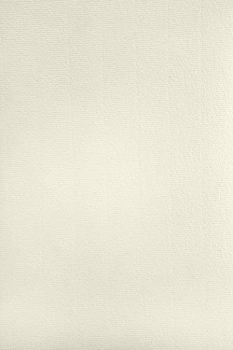 Netuno 20x Elfenbein Bastelkarton gerippt mit Wasserzeichen DIN A4 29,7 x 21 cm 220g Aster Laid Ivory Ausstattungs-Karton mit feiner Rippung Bastelkarton gerippt für Diplome Zertifikate Urkundenpapier