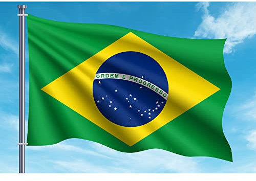 OEDIM Bandera de Brasil 150x85cm Reforzada y con Pespuntes Bandera con 2 Ojales Metálicos y Resistente al Agua, Azul Y Blanco, LEG06482001