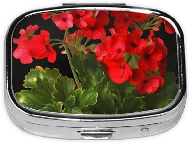Red Geraniums Pill Box Portable Metal Pill Case 2 Compartment Small Tablet Box for Purse or Pocket Pill Organizer Medicine Vitamin Organizer Unique Gift