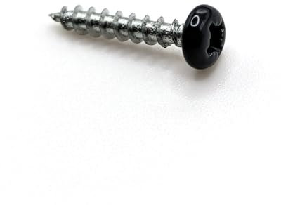 Vis bois 3,5x20 mm RAL 7016 gris anthracite tête cylindrique Pz zinguée par 100