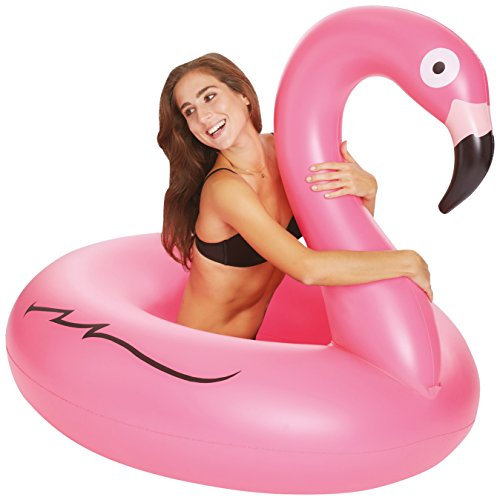 Wehnke Schwimmreifen Flamingo