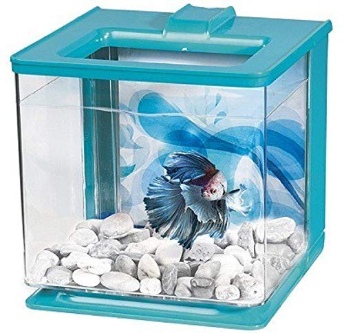 Marina Aquarium pour Aquariophilie Betta EZ Care Bleu