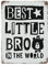 Metall-Blechschild „Best Little BRO in The World“, Vintage-Blechposter, Metallschild, Wanddekoration, Landhaus, Küche, Zuhause, Garage, Dekor, 40,6 x 30,5 cm
