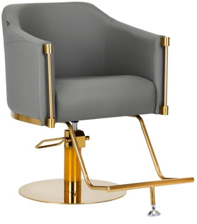 ACTIVESHOP FRISEURSTUHL GABBIANO Burgos Gold-GRAU
