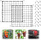 Red de Cultivo, 2 Pieza Mallas de Cultivo,120x120cm Red Trepadora de Plantas, Red para Plantas, Malla Cultivo, con 16 Ganchos, para Plantas, Verduras, Frutas, Flores (120x120cm)