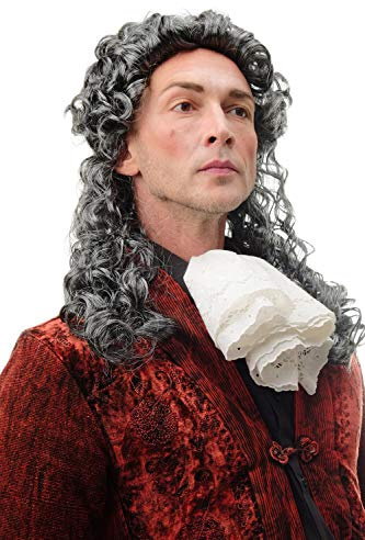 WIG ME UP - 68838-P103/68 Perücke Herren Damen Fasching Karneval Grau Schwarz-Blond-Mix Vokuhila Mullet Proll lockig oder Barock Edelmann