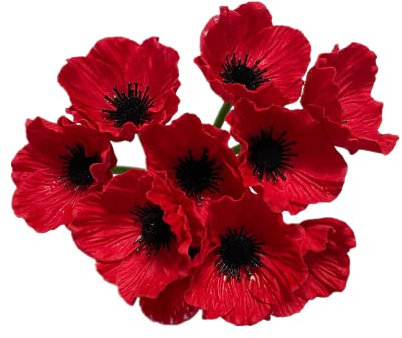 10 flores artificiales de 28 cm de tallo de flores de amapola,flores silvestres artificiales para mesa de cocina, jarrón de mesa de cocina, decoración de boda, telón de fondo de arco de pared (rojo)