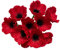 Rikyo Blumensträuße mit 10 Stielen, 27,9 cm, künstliche Mohnblumen, PU-Kunstblumen für Küche, Tisch, Tischdekoration Vase, Heimdeko, Hochzeit, Blumenhintergrund, Bogenwand(rot)