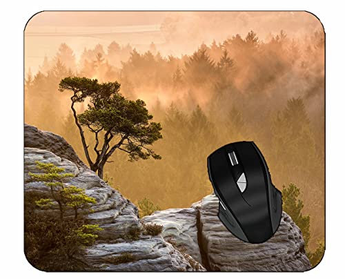 YENDOSTEEN rutschfeste Mauspads aus Naturkautschuk,Morgen, Natur, Landschaft, Bäume, Nebel, Mauspad, 220 x 180 x 3 mm