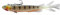 DAIWA Prorex V-Marley Pelagic Shad, 21,0cm, 80g, Hakengröße 1/0, Gummifischköder, Natural UV Perch, 15227-006